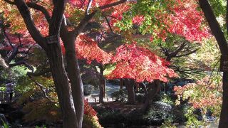 紅葉の季節は更に美しく