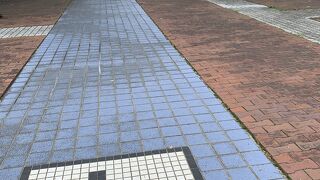 ツツジがなくても沼地散策楽しめる