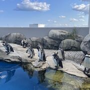 アウトレットと一緒に楽しむのがオススメ