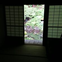 本堂の奥の庭も解放されてます。