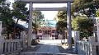 村の鎮守さまの雰囲気の神社