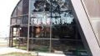 第五福竜丸の悲劇を知ることが出来ました