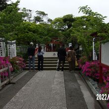 全体の様子です。