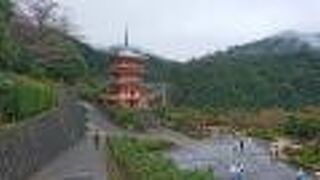 那智の大瀧との調和が美しく、まさに絶景