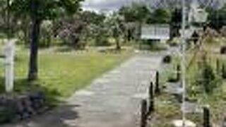 ライラック祭！