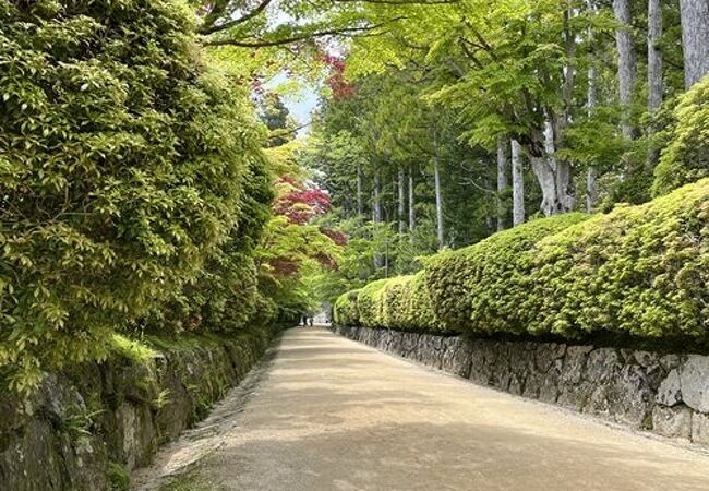 金剛峯寺と壇上伽藍の近道