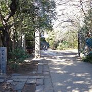 歌人・伊藤左千夫のお墓があります