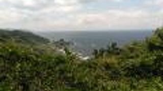 柵があって良く見えません。