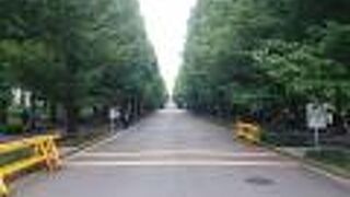 約３５年ぶりにキャンパス内を隅から隅まで歩いてみました