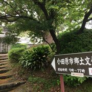 小田原の歴史、民俗、自然を学ぶ
