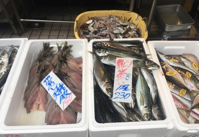 小田原の老舗鮮魚店