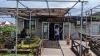 新鮮なお刺身の定食