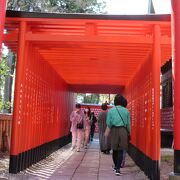 犬山城直下の神社、千本鳥居が見事