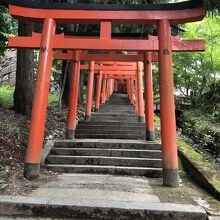 参道には多くの朱塗りの鳥居が立ち並びます。