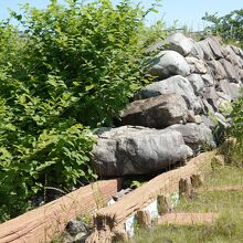 遺跡調査で発見された 清須越直前の本丸石垣を復元 