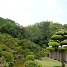 広大な庭園