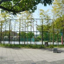 みなみもと町公園です。低地ですが、周りは高くなっています。