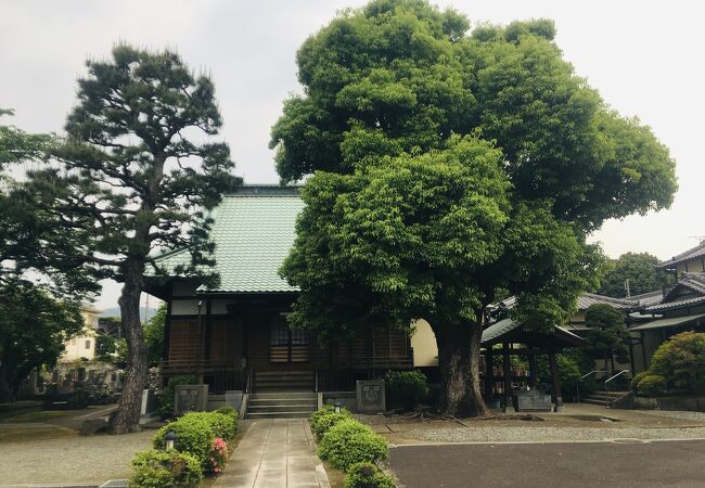 小田原七福神の「福禄寿」