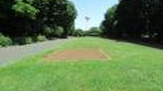 草地や木々が多く気持ちのいい公園です