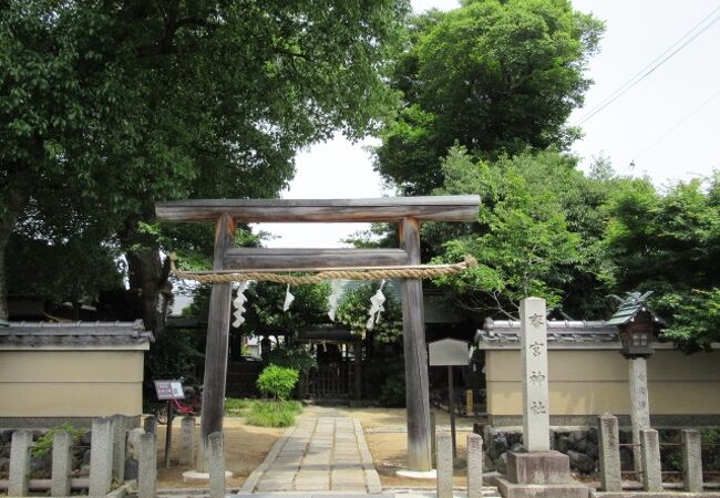 こじんまりとした神社よ