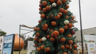 橋もよく見える