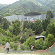 スニーカー必須。急斜面を下ったり上ったり