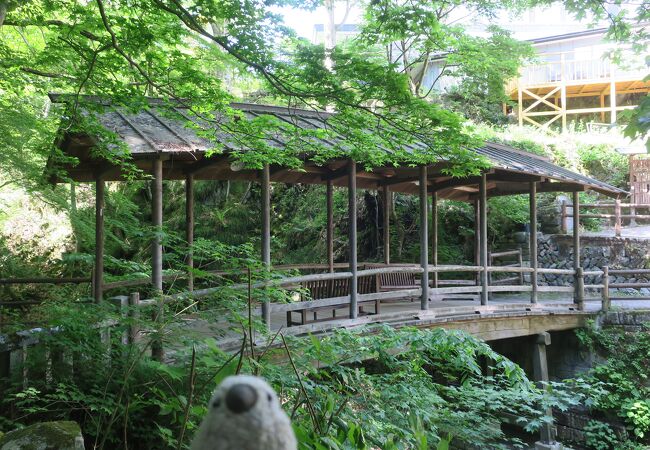 日本では珍しい屋根付きの風情のある橋