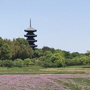 四季折々の美しい風景が楽しめる備中国分寺