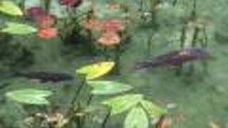 カーナビに無い