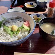 しらす丼