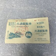 共通観覧券（￥100引き）