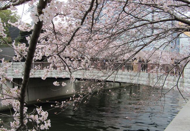 楽天市場】太鼓橋（おもちゃ）の通販
