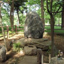 徳富蘆花夫婦の墓