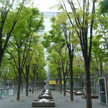 操車場の記憶碑とけやきひろばとは、密接な関係があります。