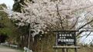 日本最初の星形城郭の跡