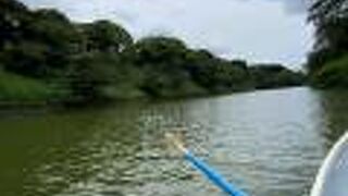 桜の季節以外は空いている