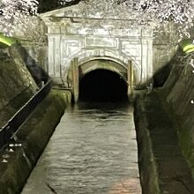 びわ湖大津　春のライトアップ、疏水の桜と疏水第一トンネル。