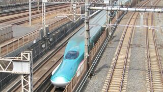 鉄道好きなら短時間でも楽しめます