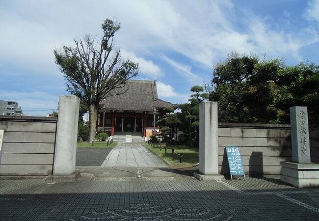 外国人宣教師の宿舎だった寺の前には松並木 