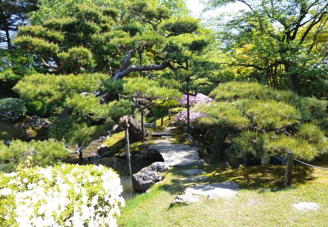 当時は鳥海山の借景が