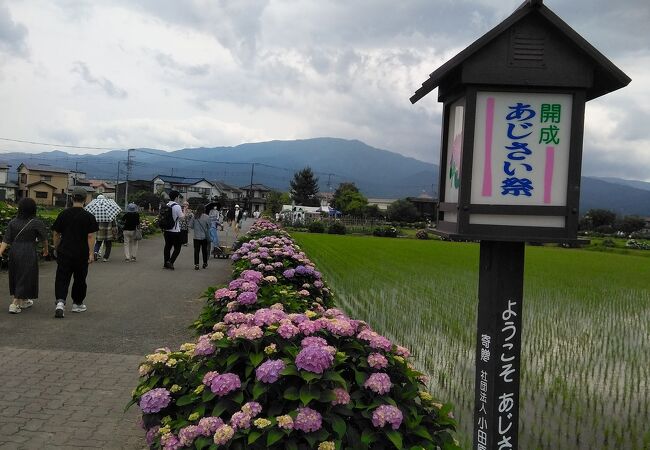 6月5日に行って来ました。