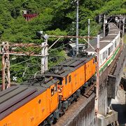 トロッコ電車で魅力を味わえる