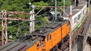 トロッコ電車で魅力を味わえる