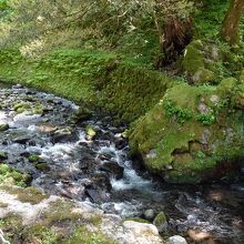 岩に苔が生えていい感じ　龍？の石像にも生えています♪