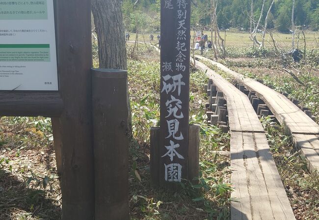 限られた時間でも植物を見学できる