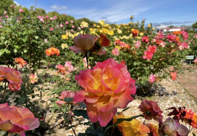 花々を中心とした施設