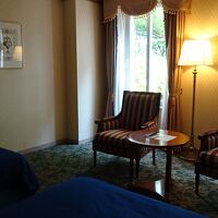 客室は落ち着いた感じですが低層階だと眺望が林になります。