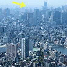 矢印が東京タワー…（泣）