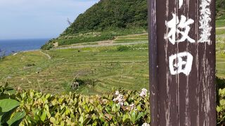 白米千枚田とは？白米町にあるから～銀シャリでは無いのよ～