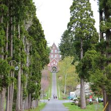 ポプラ並木の風景